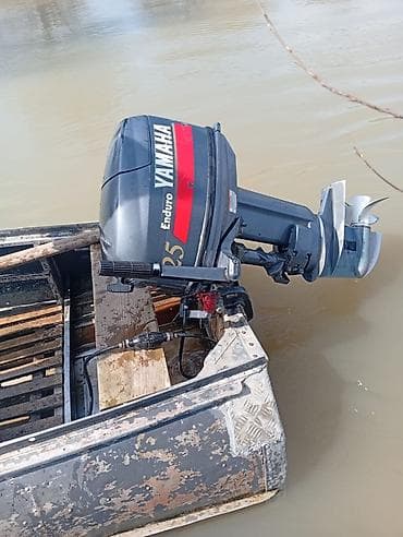 Mercury 25, 1.1 l, Benzin, 2019 il, Orijinal, Rusiya, İşlənmiş