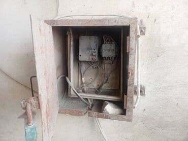 Otaq bitkiləri: Bak, Metal, İşlənmiş — 4