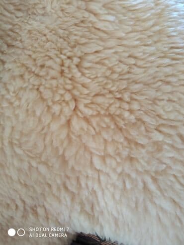 Şamdanlar: Xalça — 5