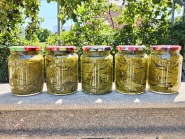 ilan yağı apteklerde: Ev üsulu, yumşaq, qatqısız, bağımızdan tam təmiz şəraitdə hazırlanmış — 1