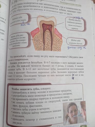 8 ci sinif kimya dersliyi pdf: Биология 8 класс, 2018 год, Самовывоз — 2
