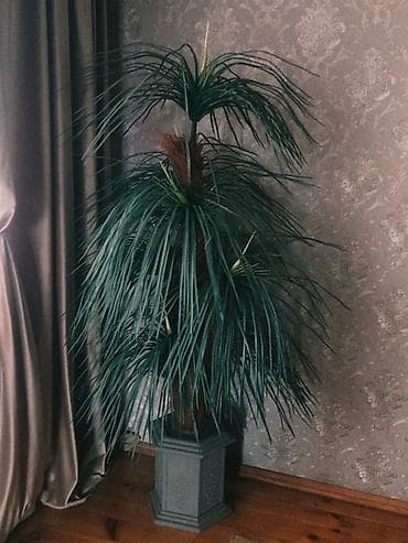 Dekorativ süni palma ağacı - Realistik görünüşlü, uzun yarpaqlı süni