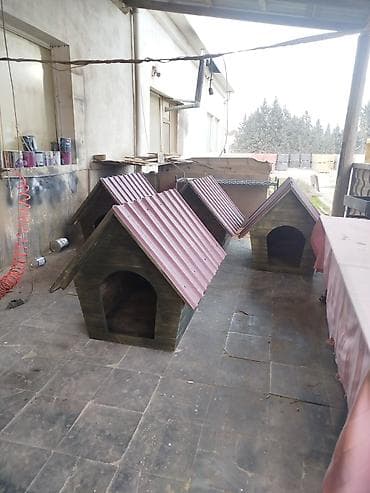 it domikleri: It yuvaları.sifarişdə qəbul olunur. 1 metrlikdi.böyük ölçülü itlər — 4