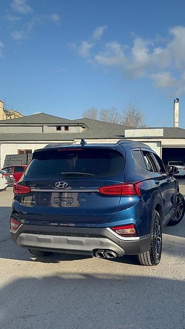 Hyundai Santa Fe: 2 l | 2020 il Krossover