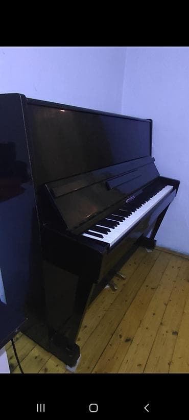 akustik gitara simi: Pianino Belarus tam isley vezyetde — 1