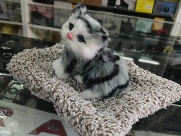 masin ucun suvenirler: Panel üstü dekorativ pişik 🚙🚒 ünvana və bölgələrə ödənişli — 1