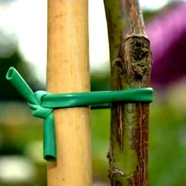 bıçaq şəkilləri: Yeni Bağ qayçısı, Rayonlara çatdırılma, Ödənişli çatdırılma, Ünvandan götürmə — 1