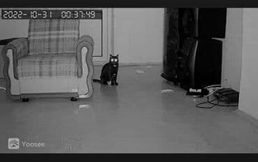 бу морозильная камера купить: Təhlükəsizlik sistemləri | Müşahidə kameraları | Quraşdırılma, Zəmanət — 12