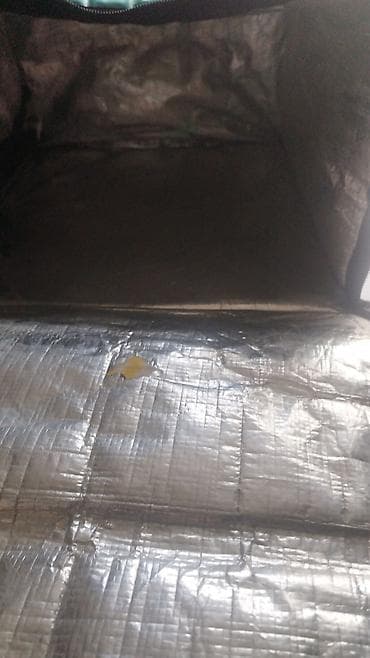 Reklam lövhələri: Wolt Partner izotermik çatdırılma çantası - Tip: Yemək və içkilərin — 2