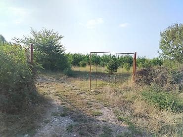 180 sot Kənd təsərrüfatı, Su lalafo.az -da 180 sot Kənd təsərrüfatı, Su