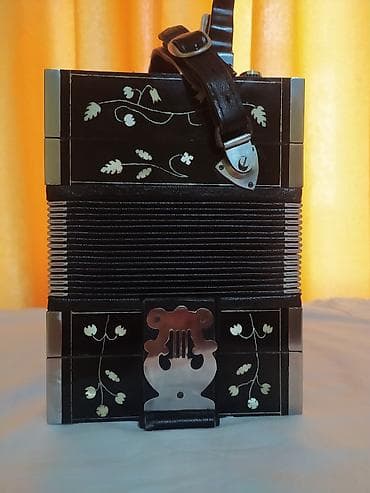 Elektrik nəqliyyatı: Akustik Akkordeon, Yeni, Ünvandan götürmə — 4