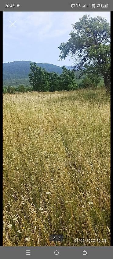 kurdaxanida heyet evleri: Kənd təsərrüfatı — 6