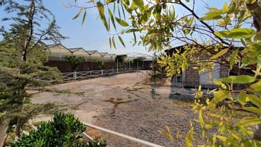 turkanda ev: Bakı, Türkan qəs., 1500 kv. m, 7 otaqlı, Hovuzlu, Qaz, İşıq, Su — 29