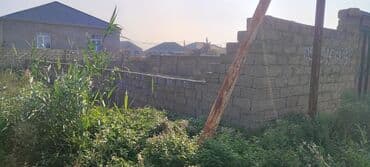 main mtk evler: 3 sot, Tikinti, Mülkiyyətçi, Bələdiyyə — 1