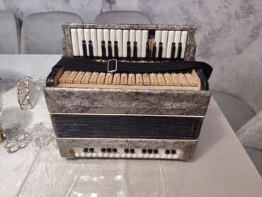 пианино ronisch цена: Акустический Аккордеон — 1