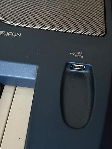akustik gitara simi: Sintezator, Korg, Yeni, Ünvandan götürmə — 3