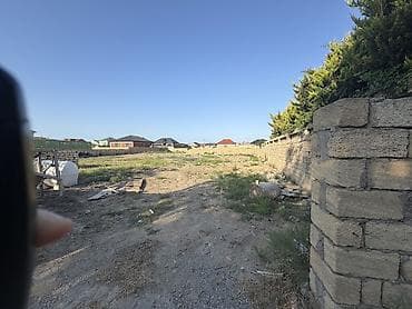 saray torpag: Tikinti — 2
