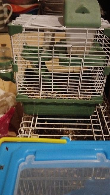 Geyimlər: Cunqarik xamyak ucun 4 mertebeli qefes satilir qiymeti 45 azn yashil — 2