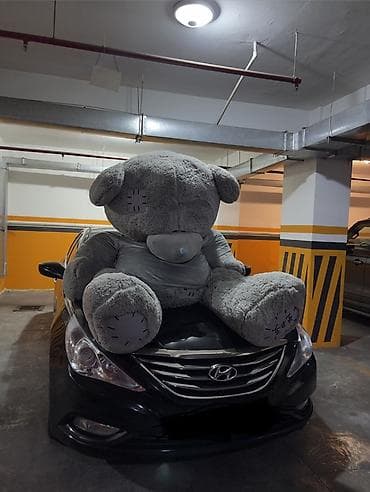 mcdonalds oyuncaq: Salam. Teddy Mişkasıdır. Boyu 2.20metr. Hədiyyə alınıb verııməyib — 2