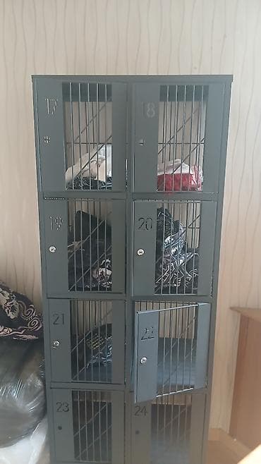 Metall şkaf – fərdi bölməli - Material: qalın metal konstruksiya, toz
