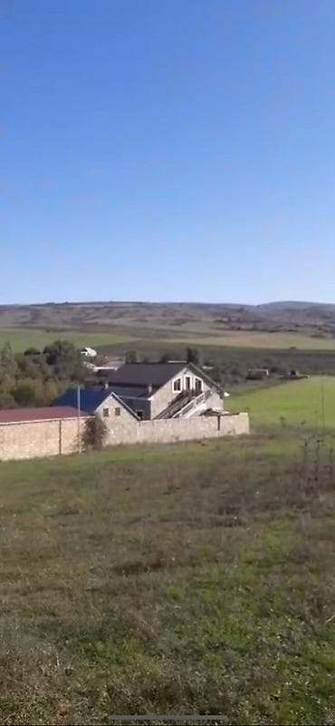 samaxi: 10 sot, Tikinti — 8