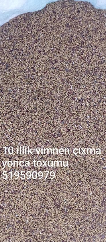 Məhsul: Yonca toxumu 4m.50q Təsvir: - Uzunömürlü növ üçün toxum (10