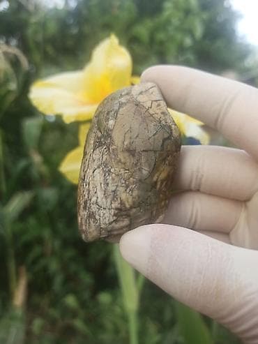 salcano baki: Təbii Naxışlı Təbii Mineral Pikasso Daşı 💎😍 Bu heyrətamiz və təbii — 9