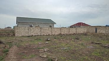 3 sot, Kənd təsərrüfatı, Mülkiyyətçi, Kupça (Çıxarış) — 2