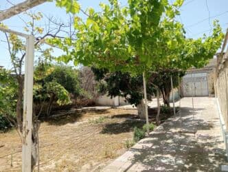 bakıxanov qəsəbəsi: 9 sot, Kupça (Çıxarış) — 11