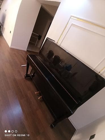 Piano, Belarus, Akustik