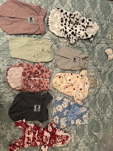 it ucun paltarlar: 5 aznden baslayan it pisik geyimleri yenidir magaza baglanib deye ucuz — 2