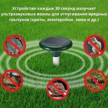 ilan gülü: İlan qovan, Yeni, Pulsuz çatdırılma — 3