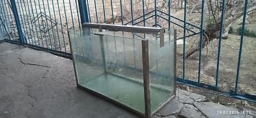 Şüşə akvarium uzunu 80 eni 35 hundurluk 50 - Material: qalın şüşə
