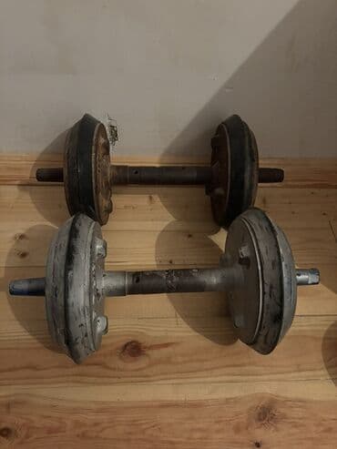 Ford: Dəmir Qantellər, Çəki: 12 kq, İşlənmiş — 2