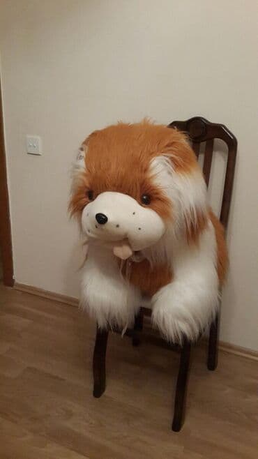 toy donlarl: Satilir.Yenidi — 1