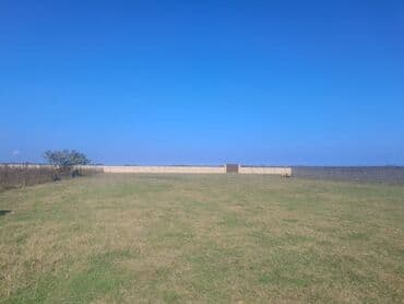 novxanıda həyət evləri: Kənd təsərrüfatı — 11