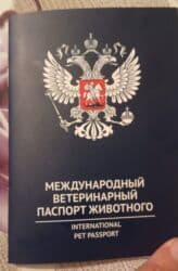 guclu itler: Rotveyler, 10 ay, Erkek, Sənədli, Ünvandan götürmə — 5