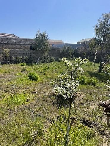 razin kiraye evler: 138 kv. m, 3 otaqlı, Kombi, Qaz, İşıq — 8