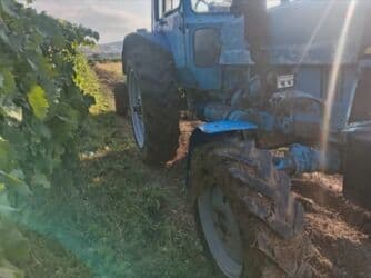 qoşqu turbo az: Traktor Belarus (MTZ) 82, 1985 il, 82 at gücü, motor 4.7 l, İşlənmiş — 8