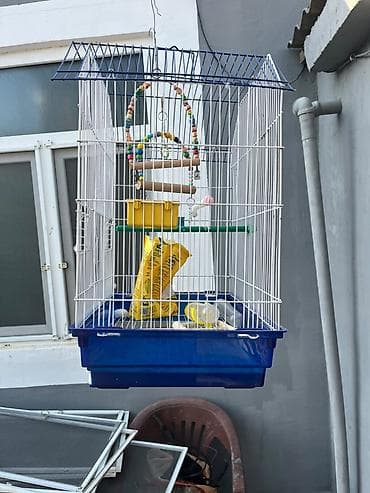 karella quş: Quş qəfəsi dəsti - Material: metal barmaqlıqlar, möhkəm plastik — 2
