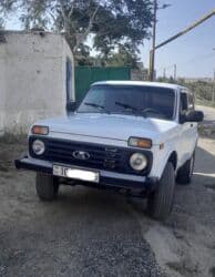 ваза напольная керамическая высокая: ВАЗ (ЛАДА) 4x4 Нива: 0.6 л | 1992 г. 300000 км Универсал — 1