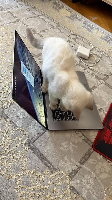 macbook pro: Apple MacBook Pro 16" (Space Gray) noutbuku - Ekran: 16 düym Retina — 7