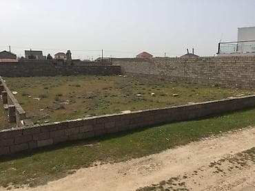 Biznes üçün