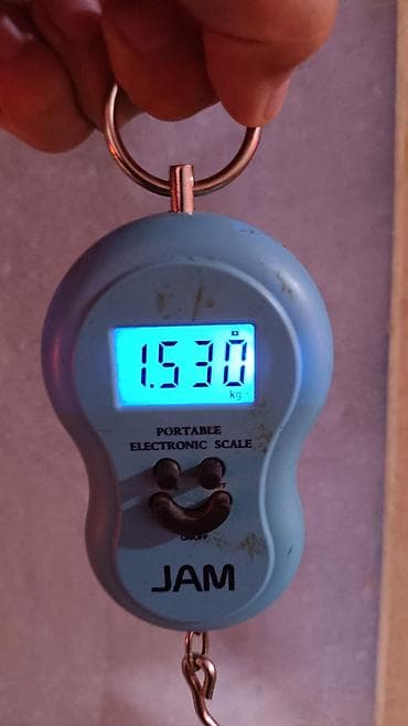 kənd toyuqlari: Təbii Qırmızı Sasso Çolpaları – Cəmi 12 AZN! 🐔 Tam sağlam, təbii — 4