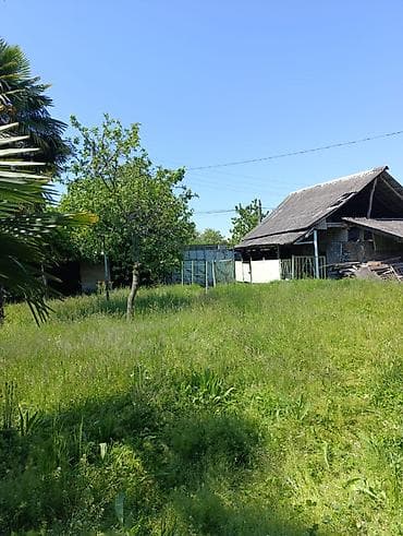 gencede gunluk kiraye evler: 4 otaqlı, 100 kv. m, Kredit yoxdur, Orta təmir — 3