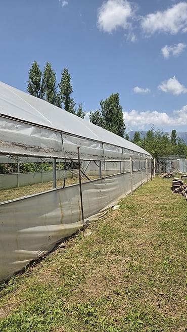 palet soba: Parnik uzunluğu 25 m, eni 9 m,peçidə var karopkada,qiymetde — 3