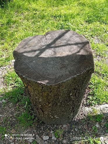 куда продать старую мебель: Ət kötüyü Eni(diametri) 50sm,Hunduru 60sm — 3