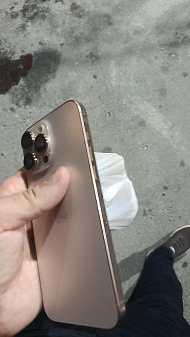 ipone 16: IPhone 16 Pro Max — 2