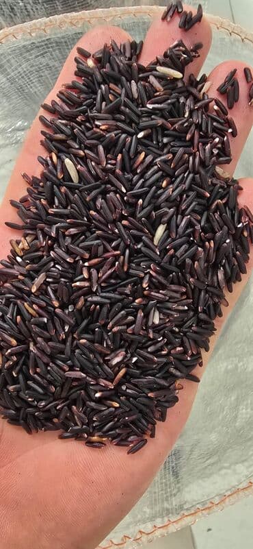 Qara düyü (uzun dənəli) 🌾 Təbii Qara Düyü – Sağlamlığın və Dadın