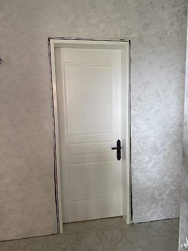 Dveri 5 shtuk,70 man 1 shtuka s zamkami s ruchkaminalichniki